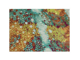Alfombra Chameleon 010 160x320 cm