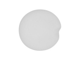 Plato presentación Fósil 31,40 cm ø