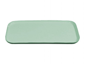 Green and gold tray