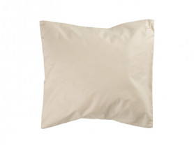 Bright Beig Cushion