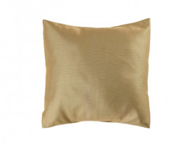 Gold cushion