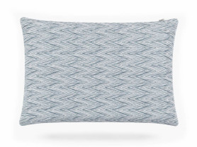 Zig zag blue white cushion