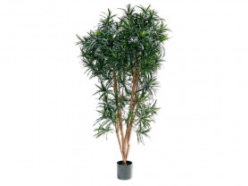 Dracenea green artificial plant 183h