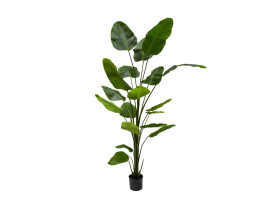 Planta Strelitzia artificial 240 cm h