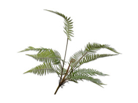 Artificial flower autumn fern