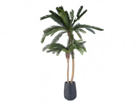 Decorative palm tree