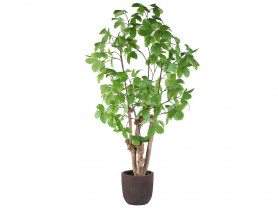 Planta artificial Sageretia 220 cm