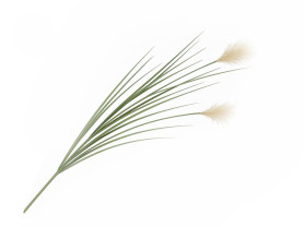 Artificial beige feather stick