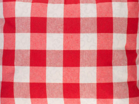 Red and white checkered napkin