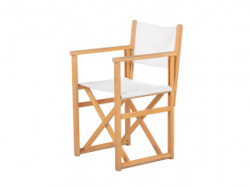 Director chair
